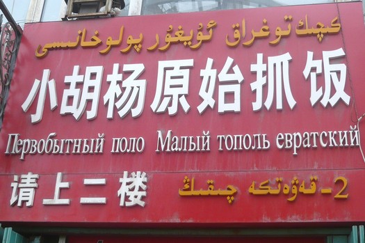 P1090239.jpg, sept. 2009