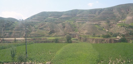 P1090931.jpg
